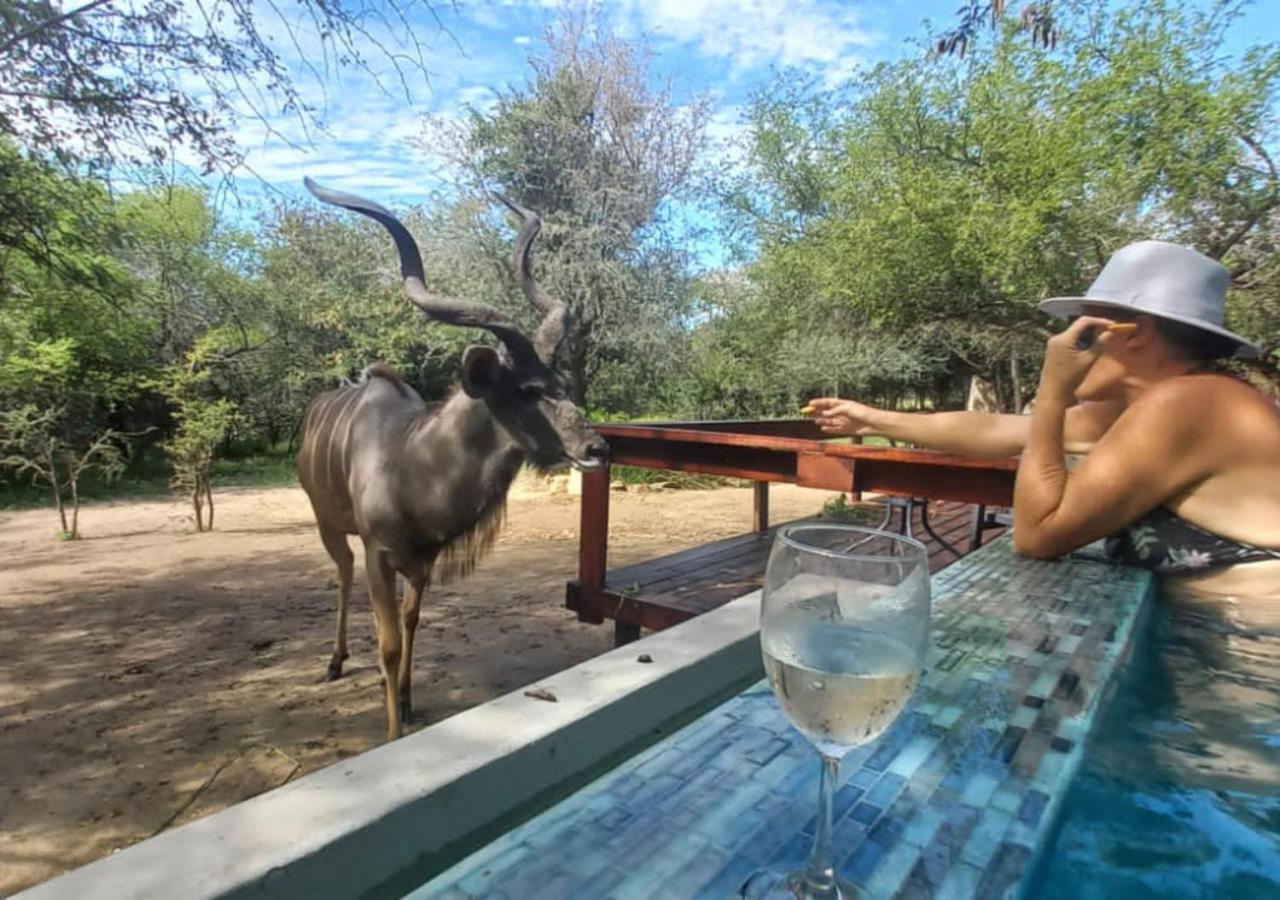 Turaco Lodge - No Loadshedding Marloth Park Buitenkant foto